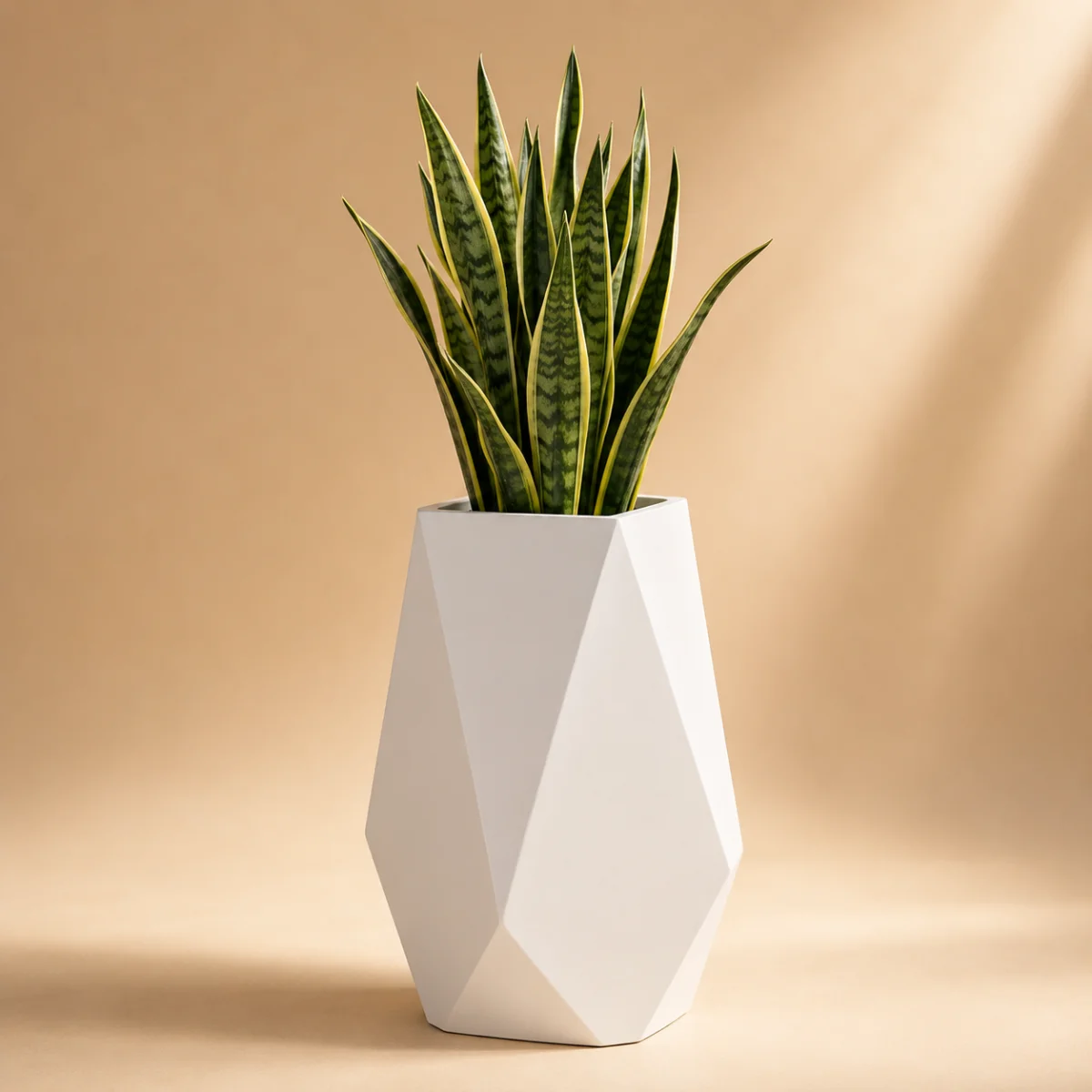 Fiberglass Geometri Model
